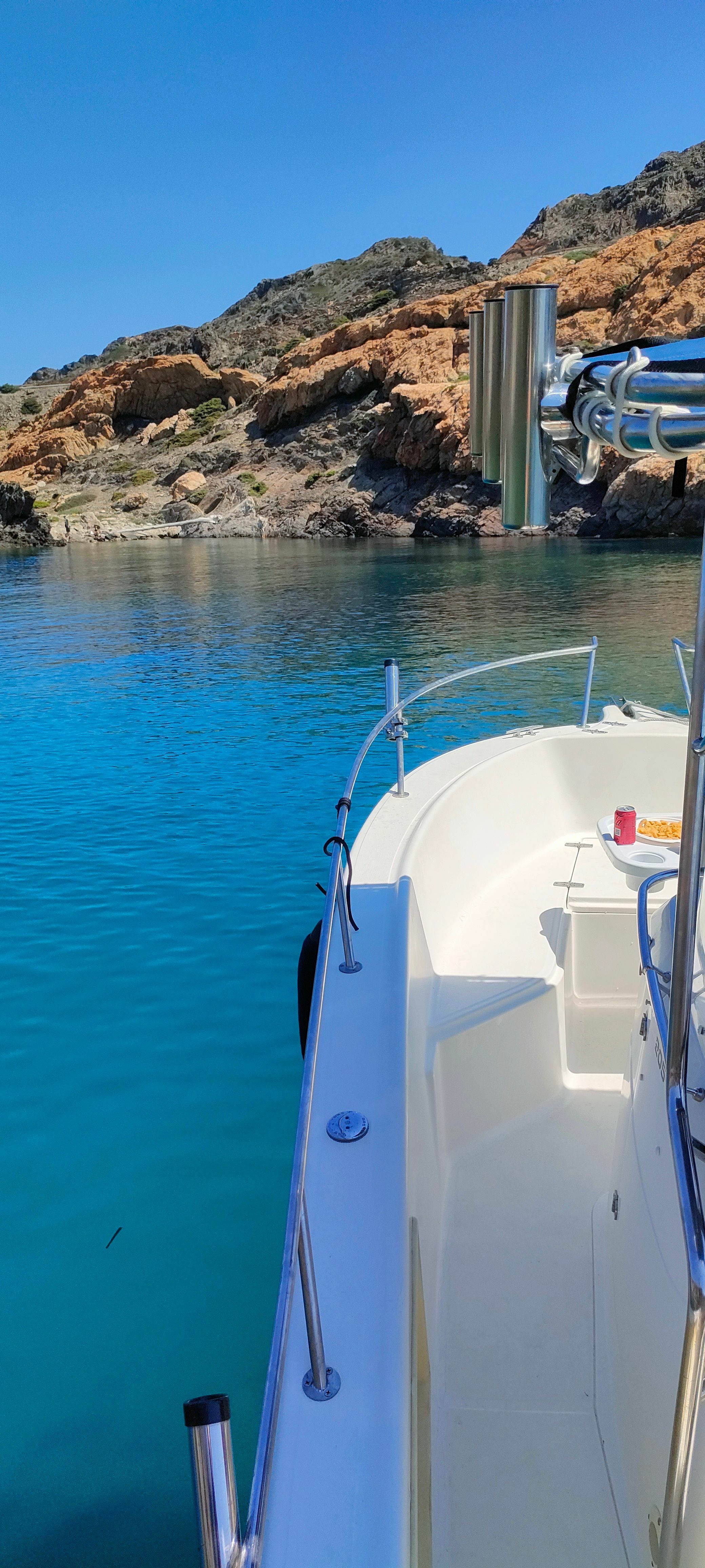 Kelt White Shark | Drakkar