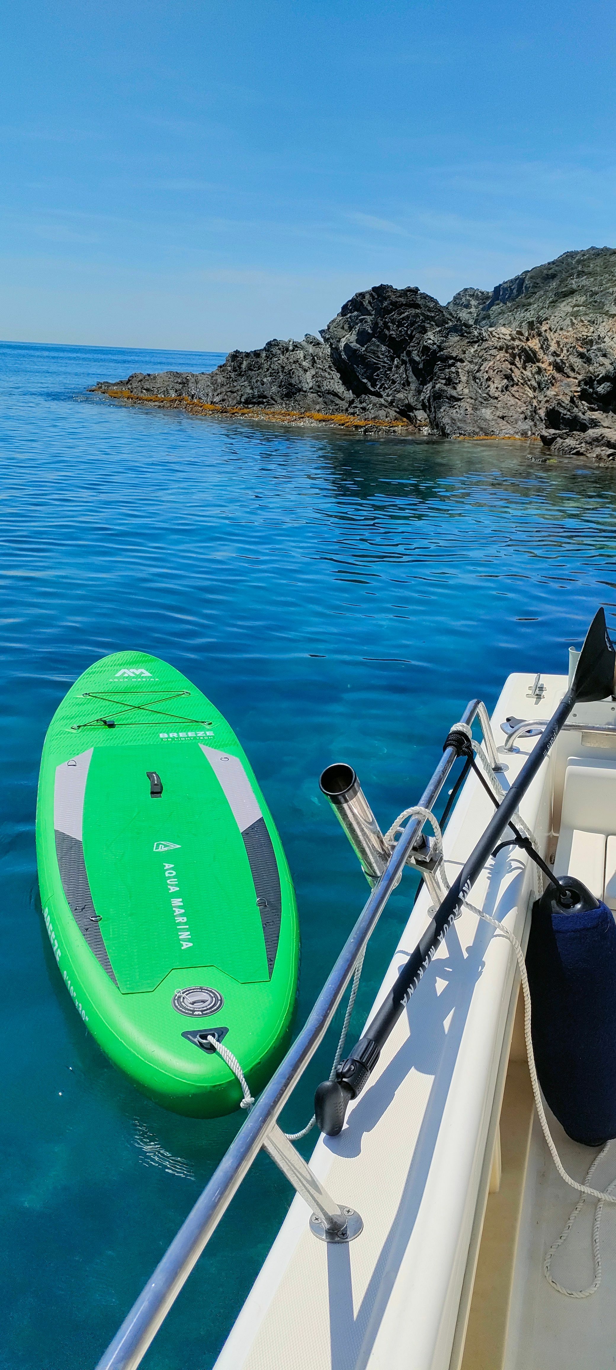 Kelt White Shark | Drakkar