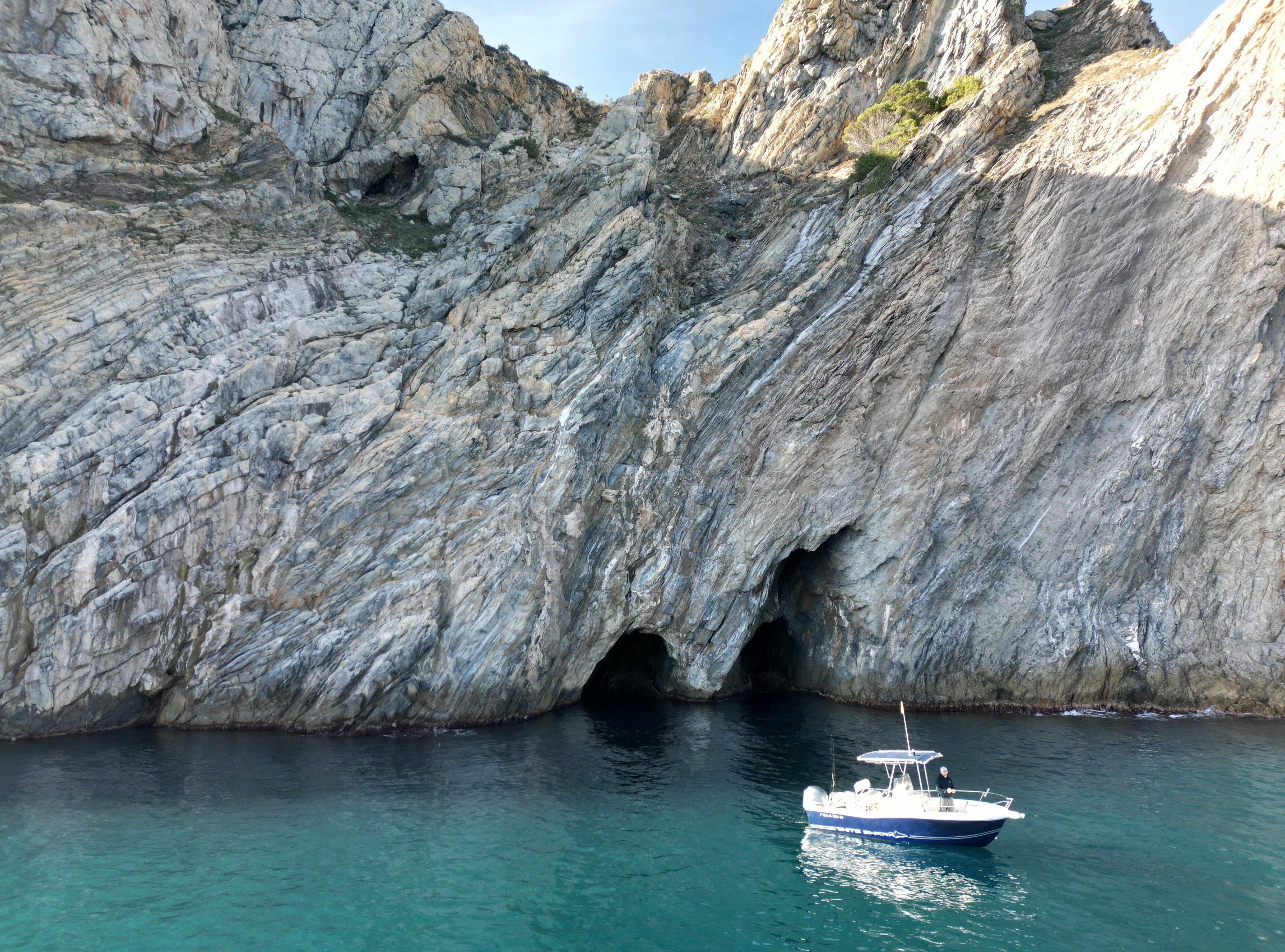 Kelt White Shark | Drakkar