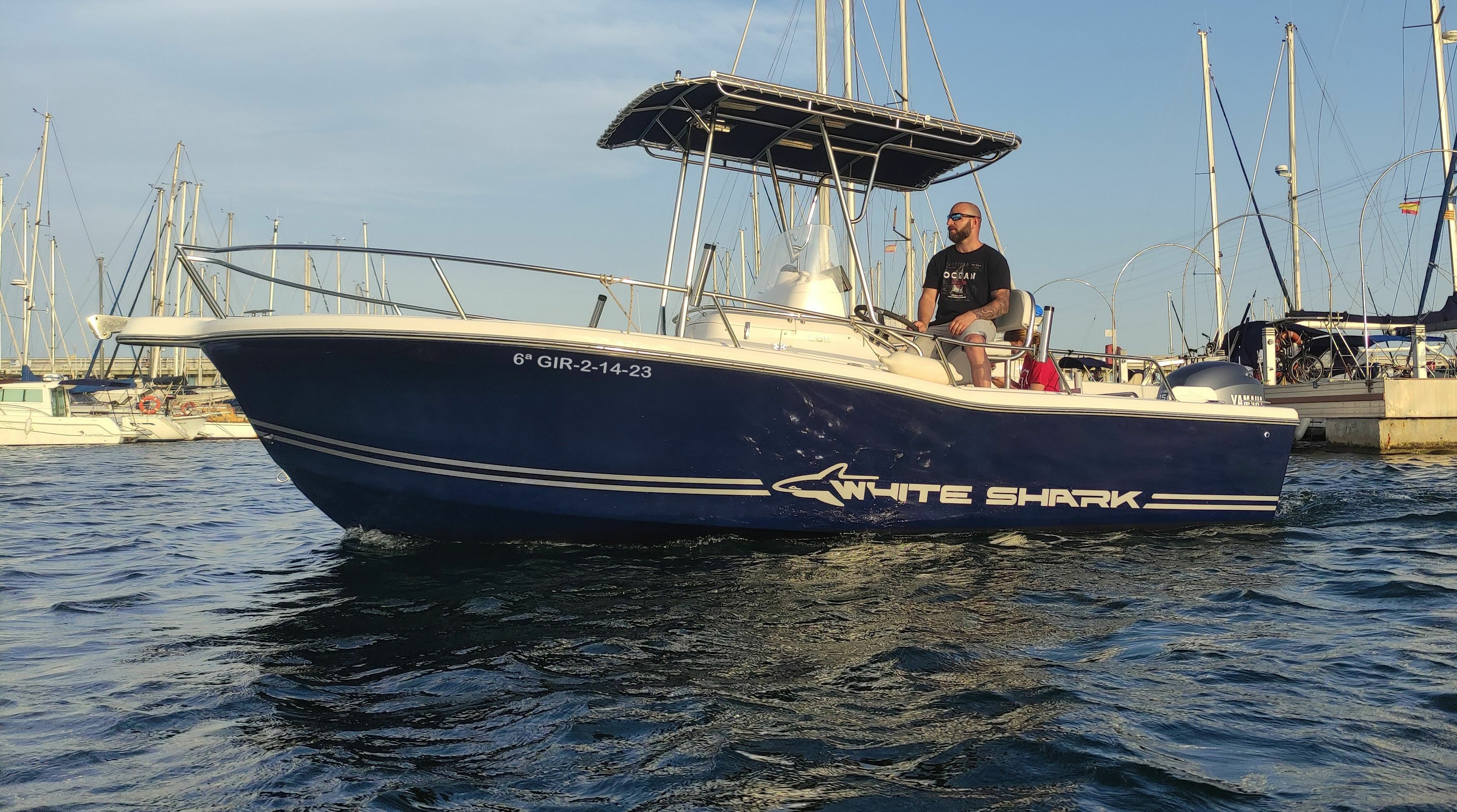 Kelt White Shark | Drakkar