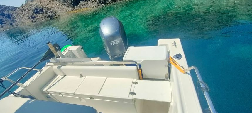 Kelt White Shark | Drakkar