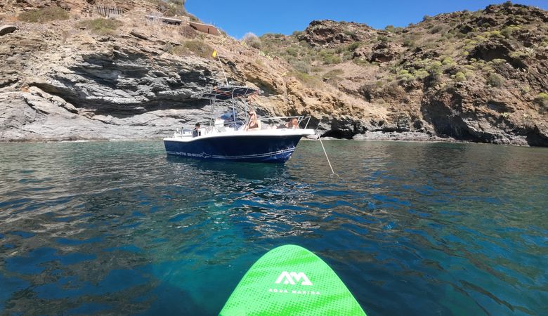 Kelt White Shark | Drakkar