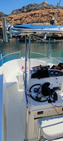 Kelt White Shark | Drakkar