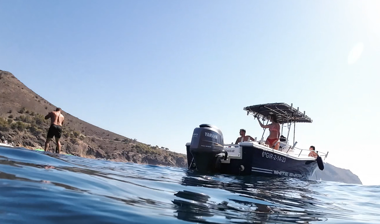 Kelt White Shark | Drakkar