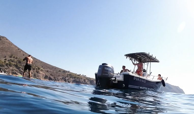 Kelt White Shark | Drakkar