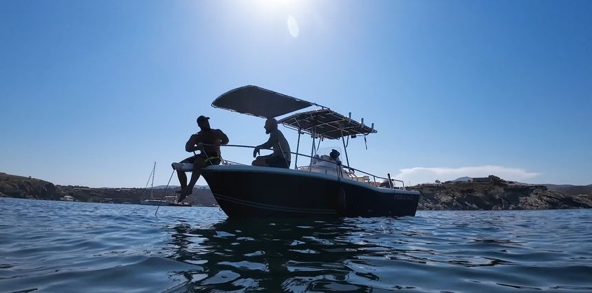 Kelt White Shark | Drakkar