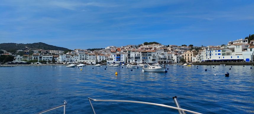 Kelt White Shark | Drakkar