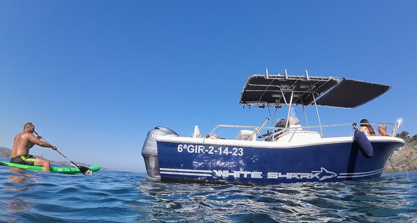 Kelt White Shark | Drakkar