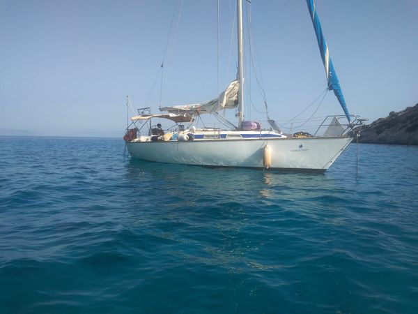 Dromor Apollo 12 | Serena of Aegean