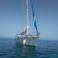 Dromor Apollo 12 | Serena of Aegean