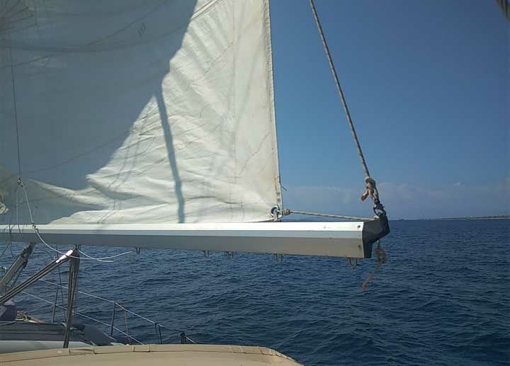 Dromor Apollo 12 | Serena of Aegean