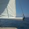 Dromor Apollo 12 | Serena of Aegean