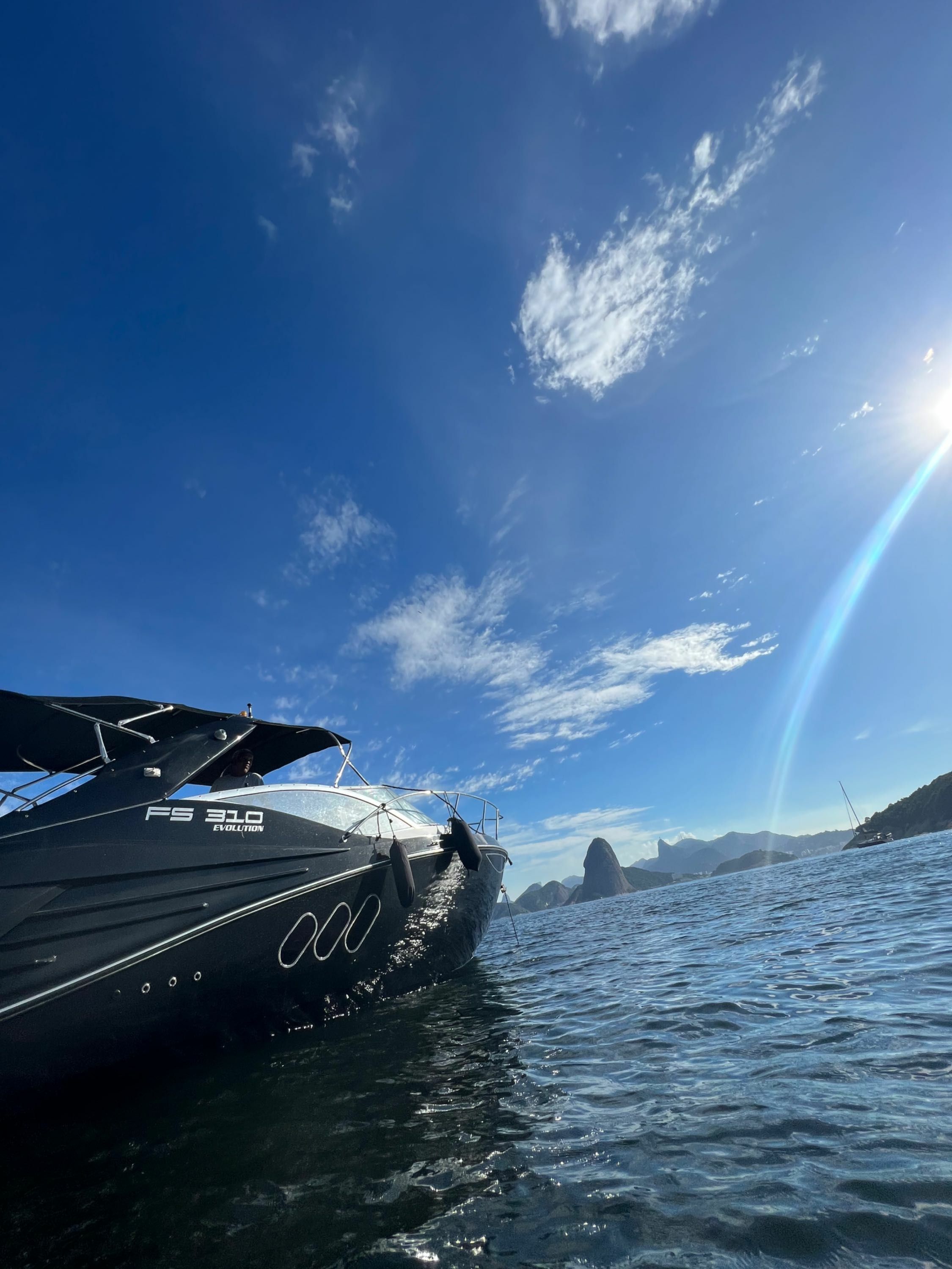 FS 310 | Black Pearl