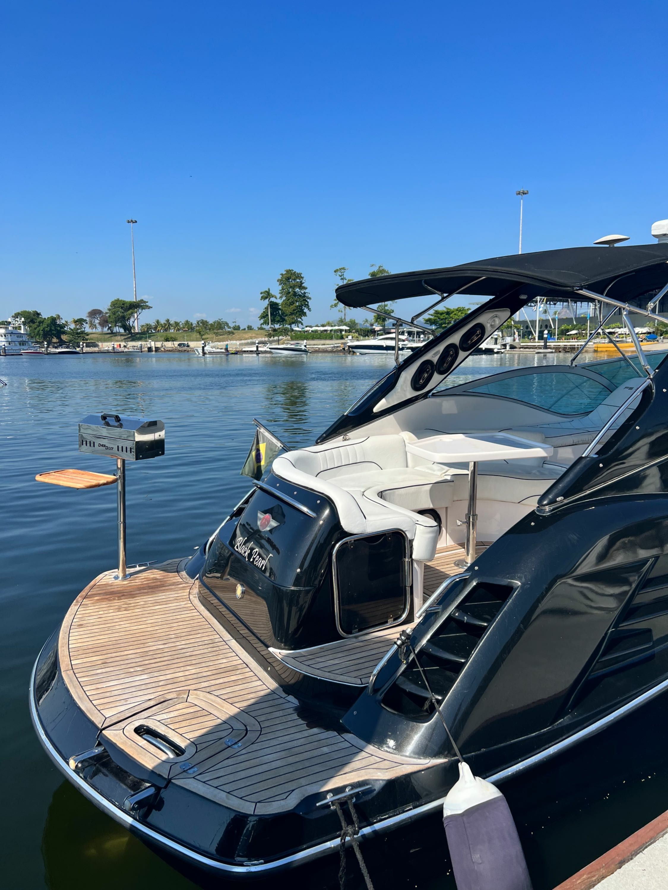 FS 310 | Black Pearl