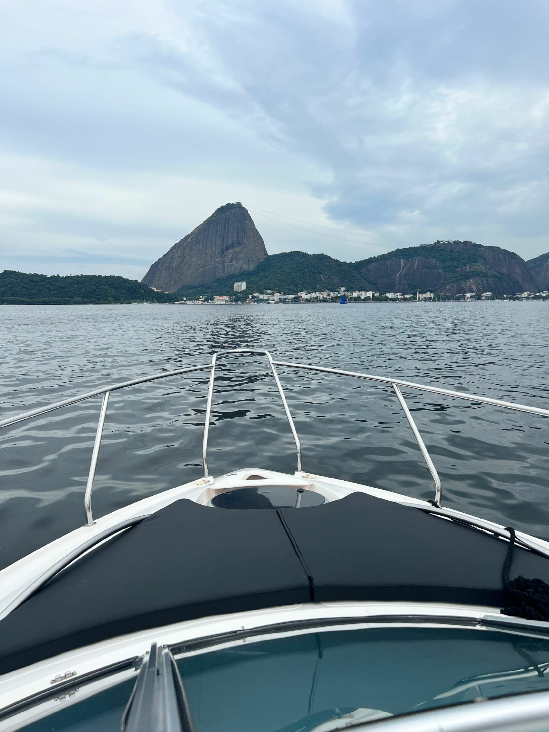 FS 310 | Black Pearl