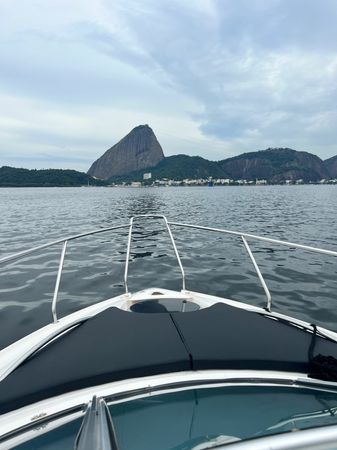 FS 310 | Black Pearl