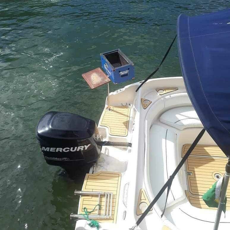 Real 24 | Seaholic 20