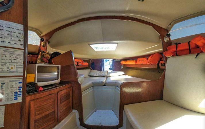 Runner 295 | Toa Toa