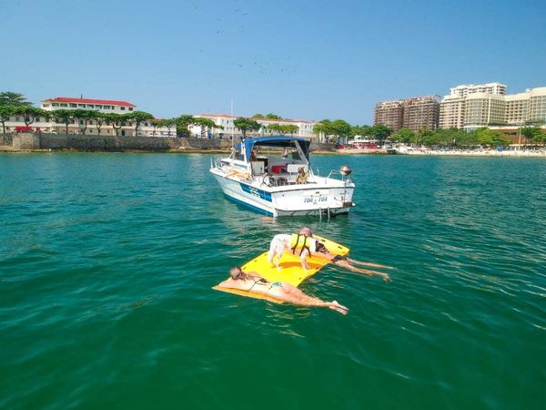 Runner 295 | Toa Toa