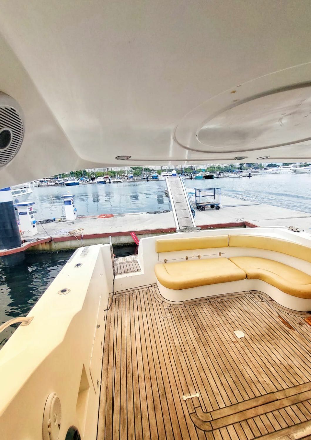 Ocean Pro 50 | Grand RayRay