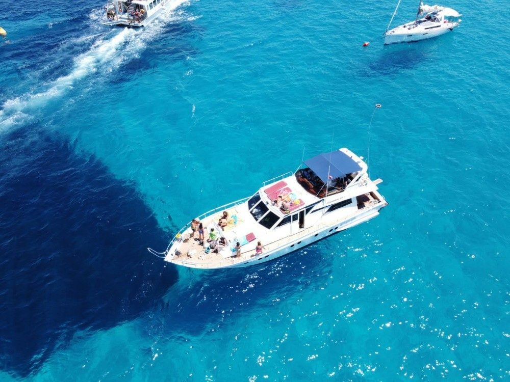 Canados 50 Fly | Floen