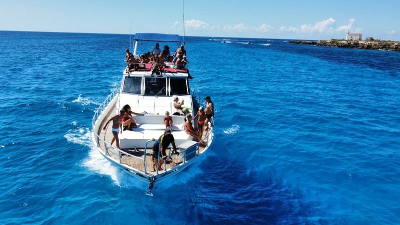 Canados 50 Fly | Floen