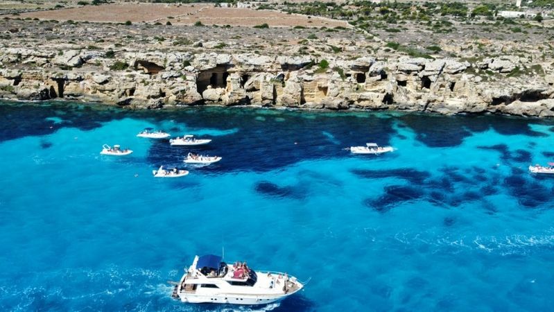 Canados 50 Fly | Floen