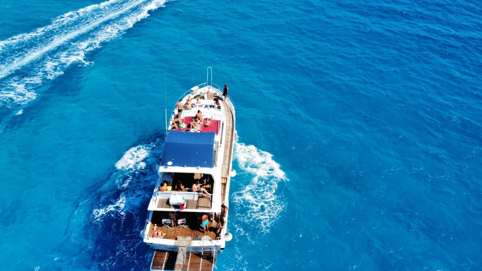 Canados 50 Fly | Floen