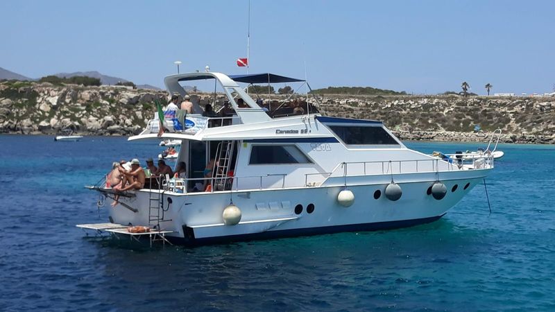 Canados 50 Fly | Floen