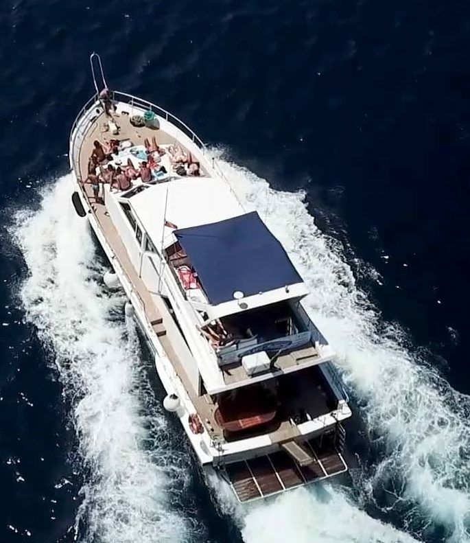 Canados 50 Fly | Floen