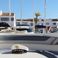 Bayliner 249 SD | Floky