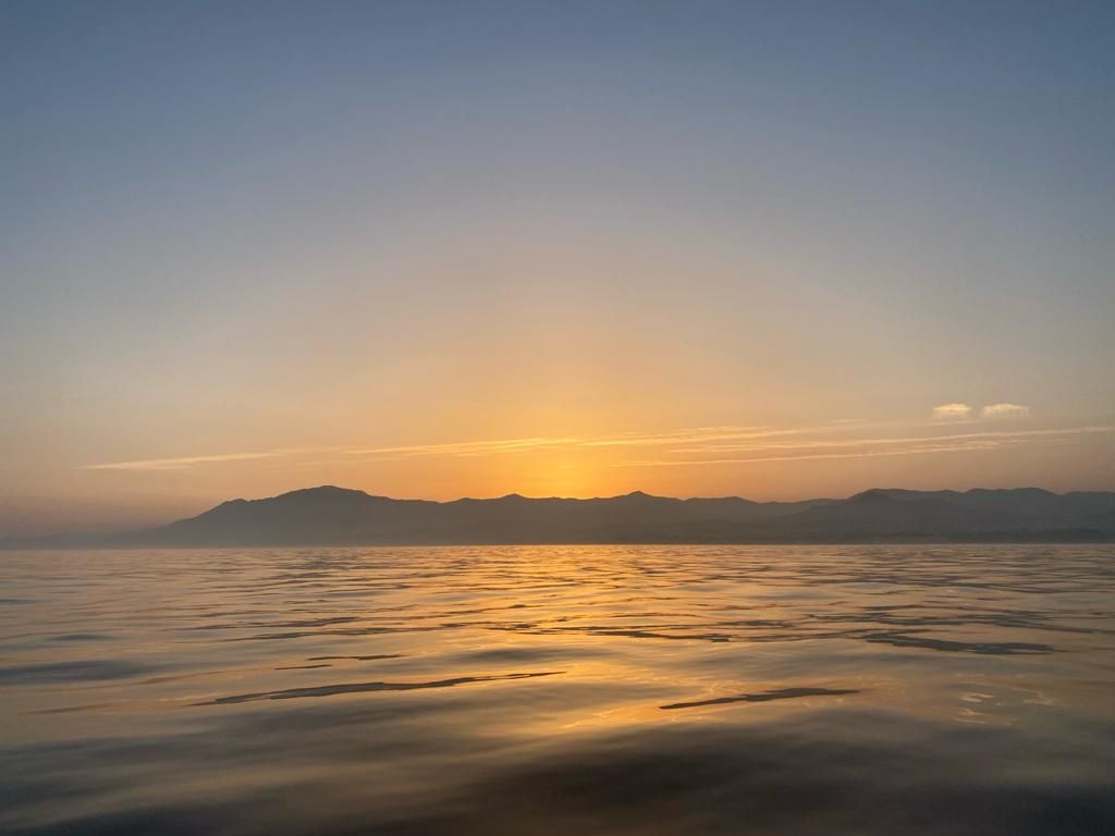 Bayliner 249 SD | Floky