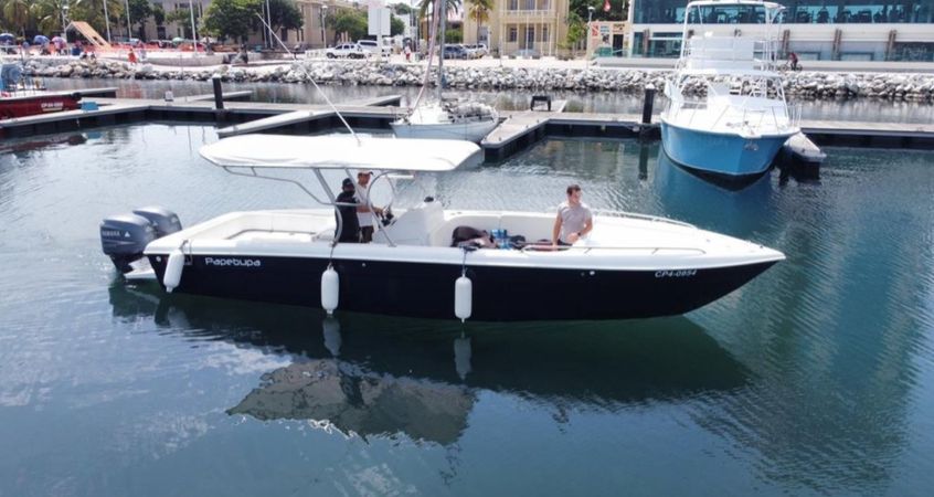 Bravo 320 | Papebupa