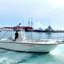Boston Whaler 30 | La Loly