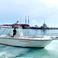 Boston Whaler 30 | La Loly