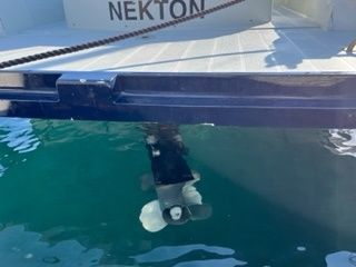 STS 29 | Nekton