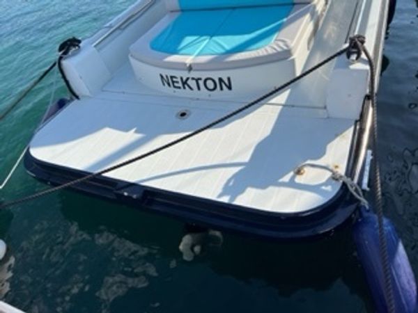 STS 29 | Nekton