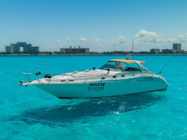 Sea Ray 45 | Mavie
