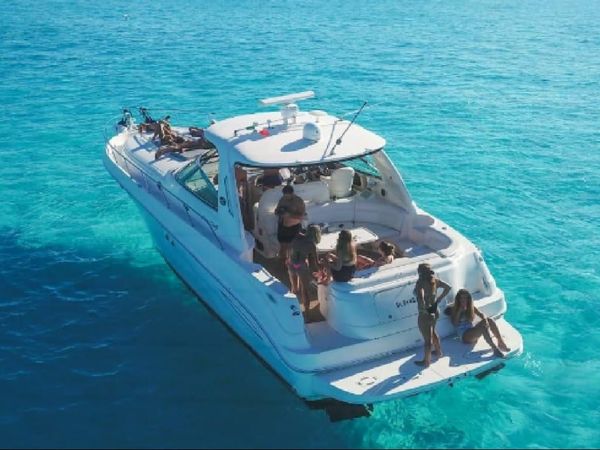 Sea Ray 46 | Hampton