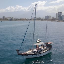 Perkins 50 | Toruga 1