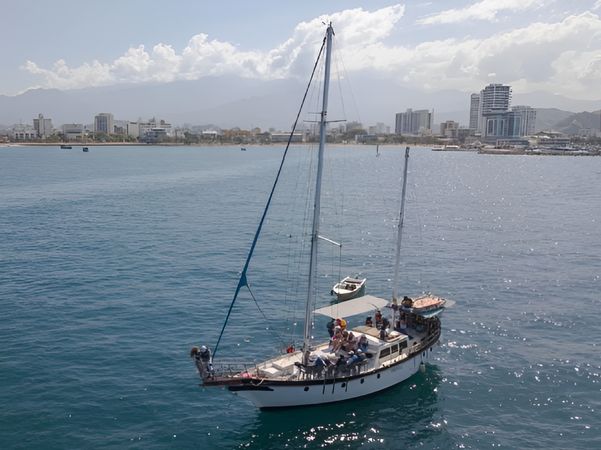 Perkins 50 | Toruga 1