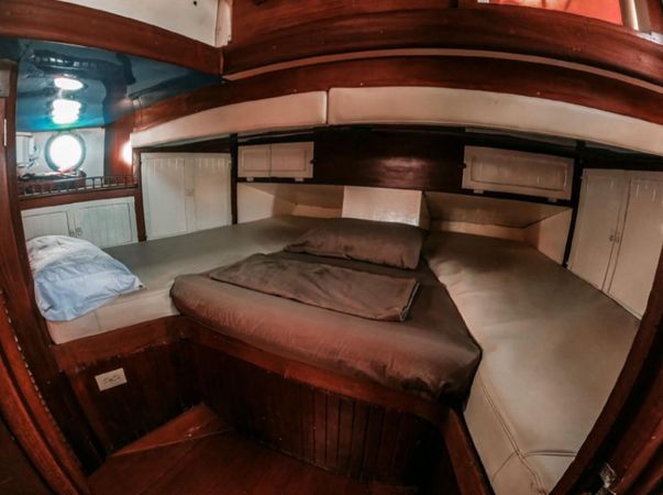 Perkins 50 | Toruga 1