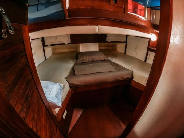 Perkins 50 | Toruga 1