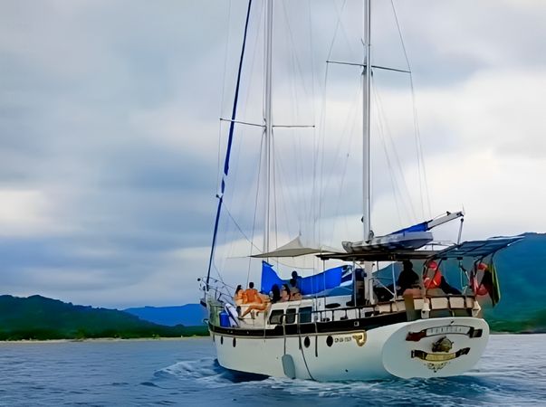 Perkins 50 | Toruga 1