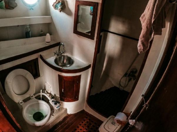 Perkins 50 | Toruga 1