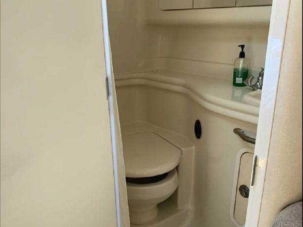 Sea Ray 40 | Good Life