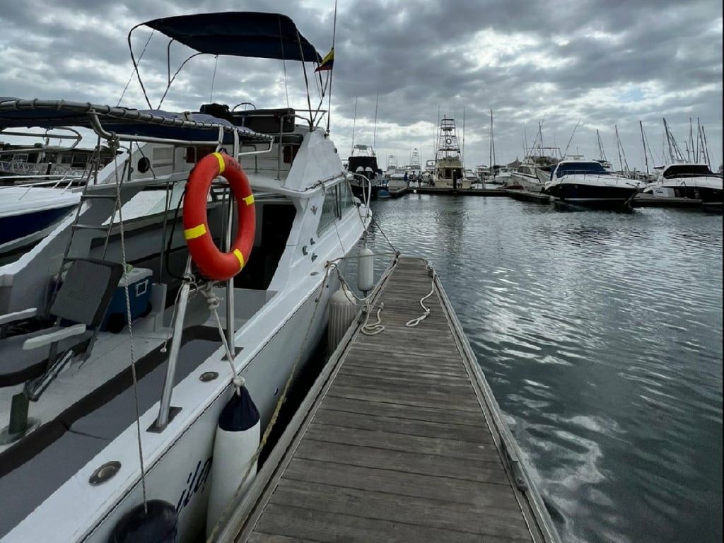 Bertram 28 Flybridge | Mailof