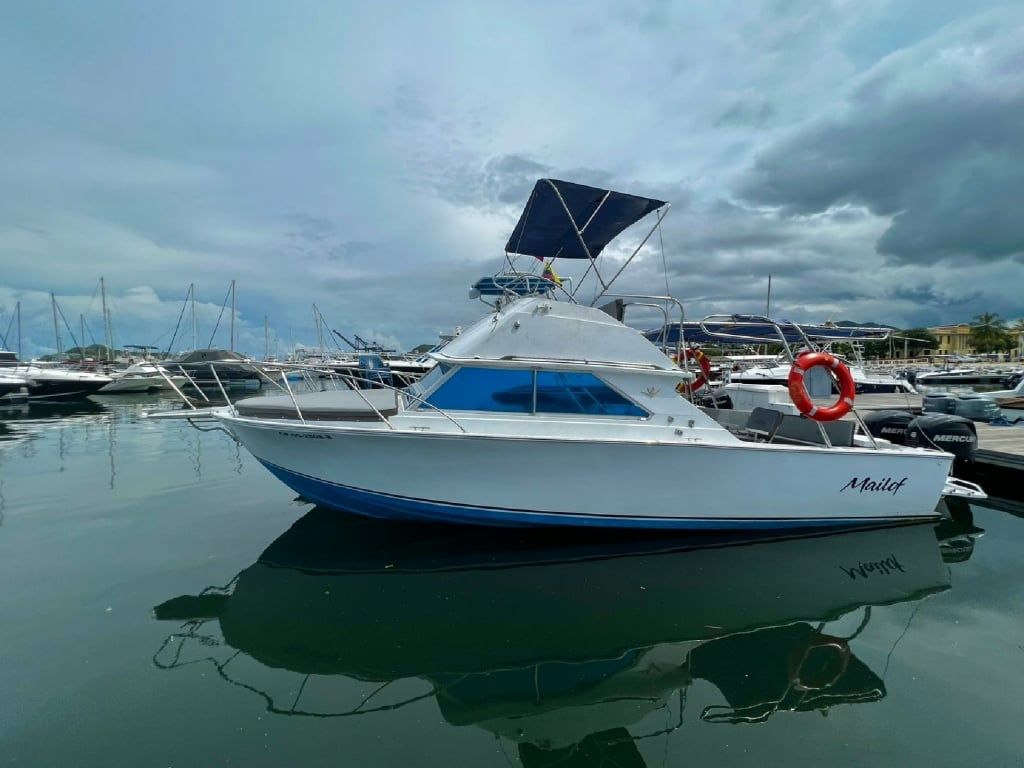 Bertram 28 Flybridge | Mailof