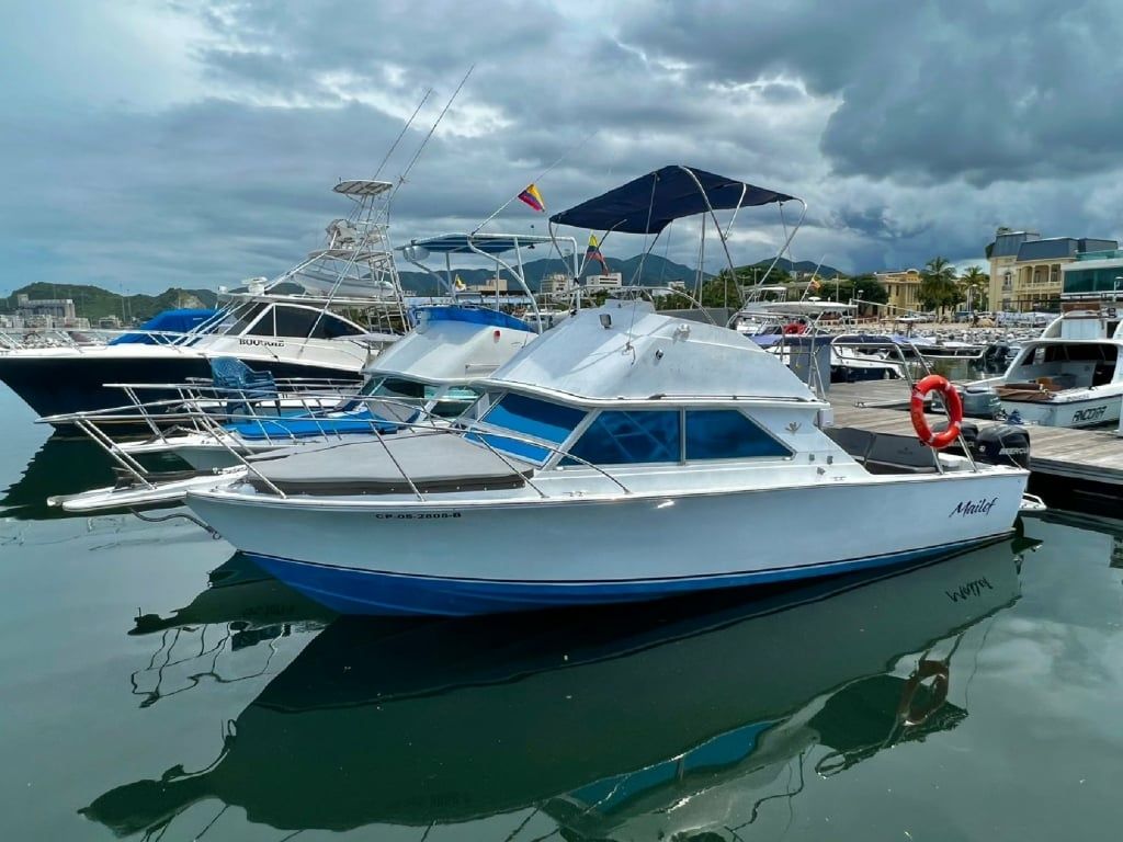 Motorboat Bertram 28 Flybridge Mailof for rent Colombia Boataround