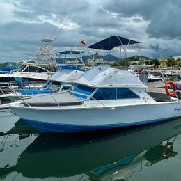 Bertram 28 Flybridge | Mailof